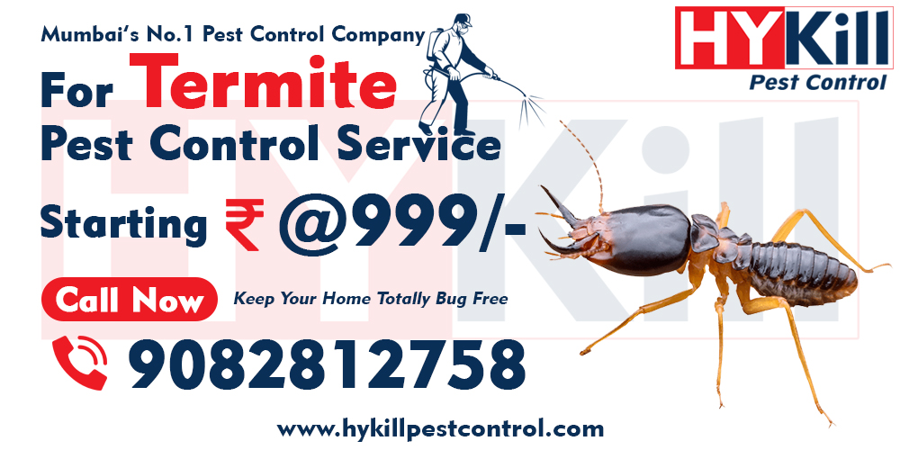 Termite Pest Control